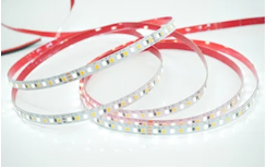 TL-2835-24V-10M-CW