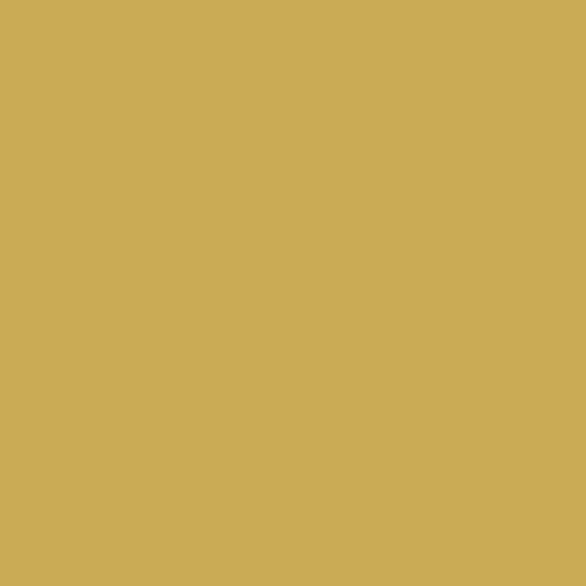 Infinity GOLD